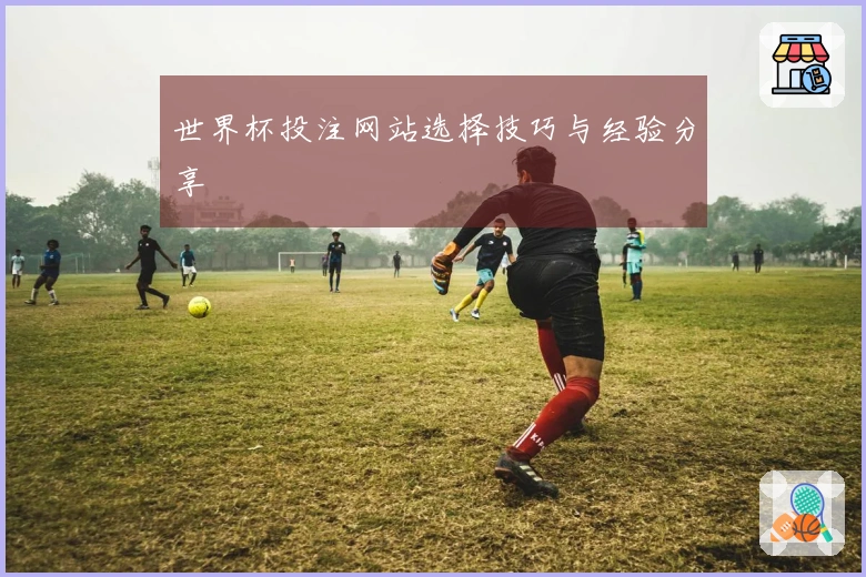 世界杯投注网站选择技巧与经验分享