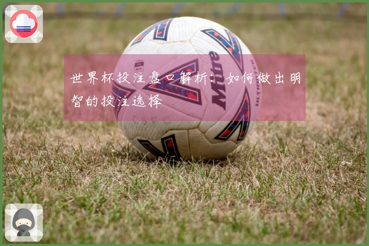 世界杯投注盘口解析：如何做出明智的投注选择