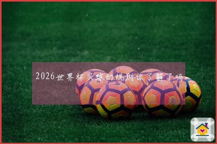 2026世界杯买球的规则你了解了吗