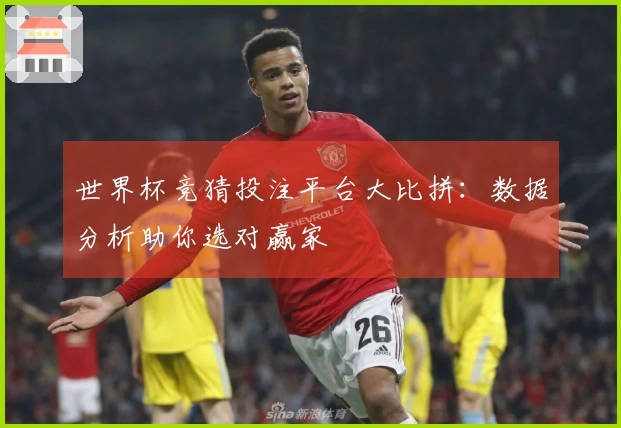 世界杯竞猜投注平台大比拼：数据分析助你选对赢家