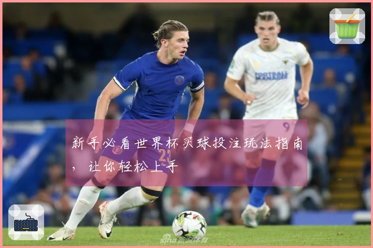 新手必看世界杯买球投注玩法指南，让你轻松上手